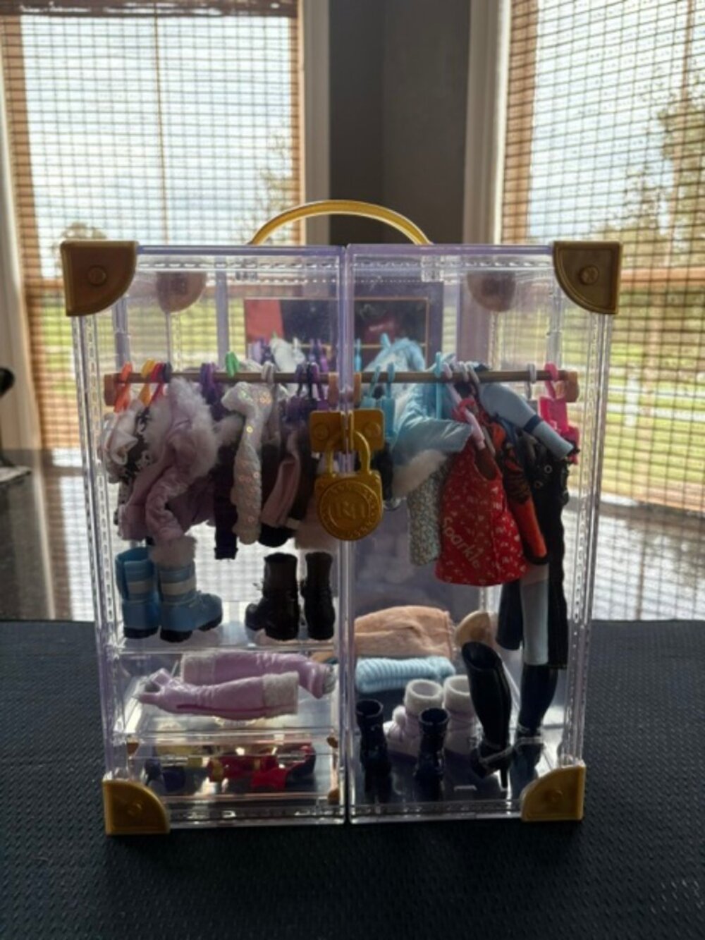Rainbow High Dolls, Clothes & Case - Picture 6 of 6